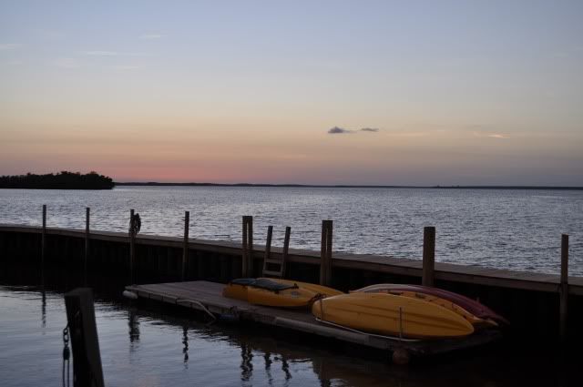 DSC_00742.jpg