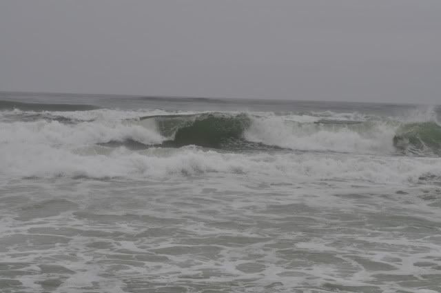 DSC_0131-2.jpg