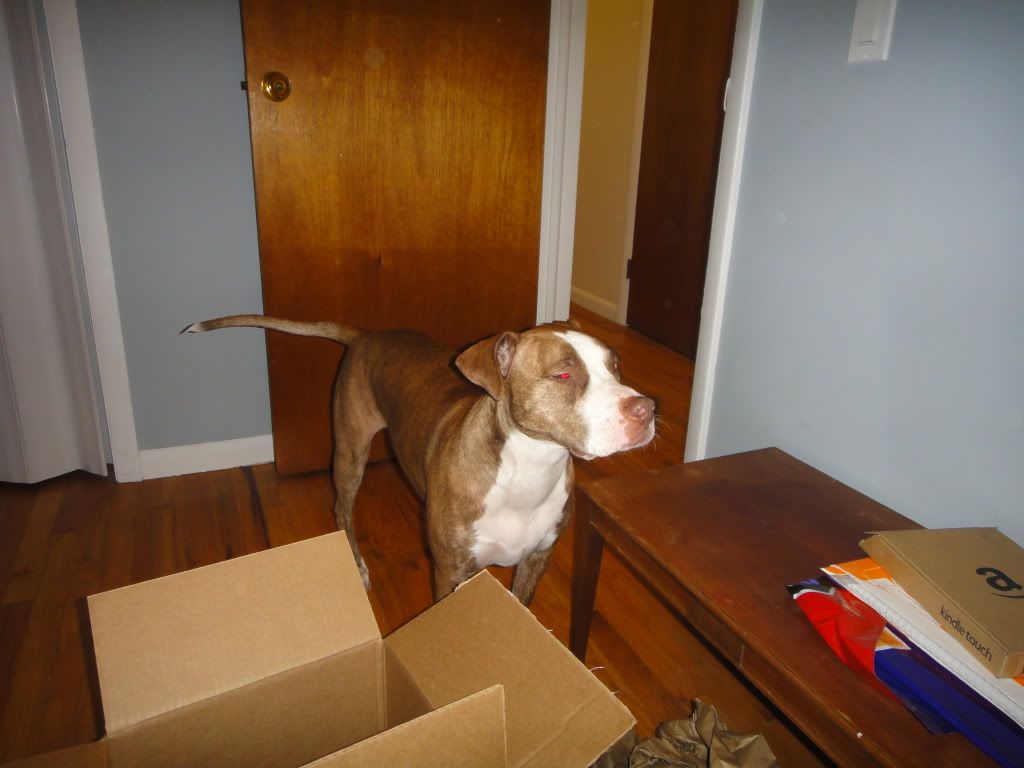 DSC01027.jpg