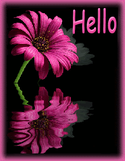 Hello Flower Pictures, Images and Photos