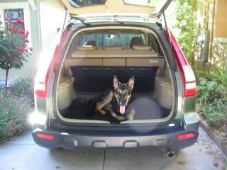 Honda odyssey dog crates