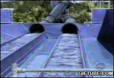 8768.gif