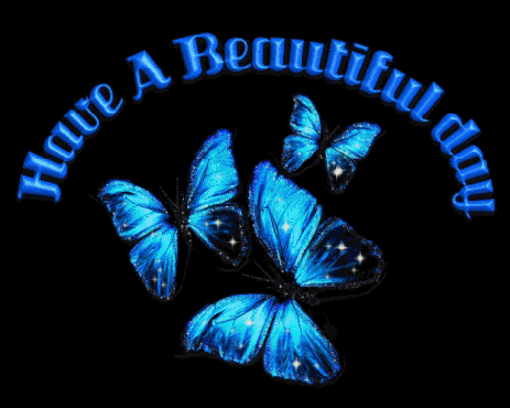 Best Butterflies Graphics Myspace