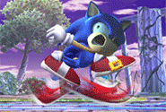sonicaafm9.gif