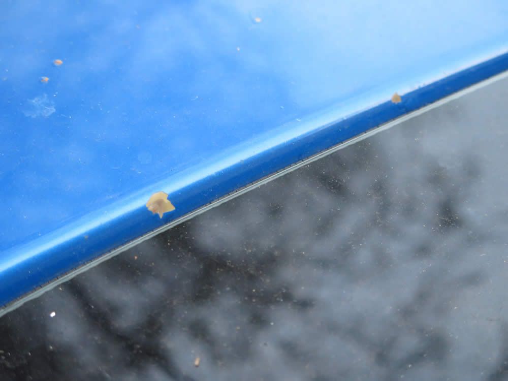 FPV_Tornado_Ute_14_2_5_2015.jpg