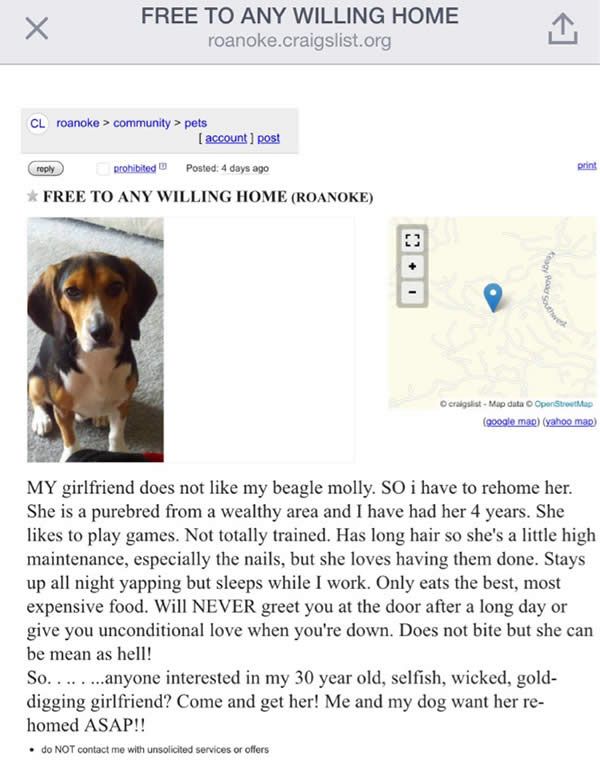 Craigslist_Girlfriend_Dog_Ad.jpg