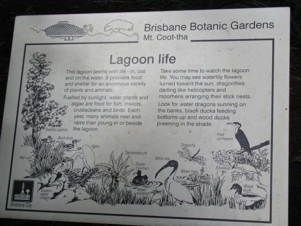 lagoon plaque