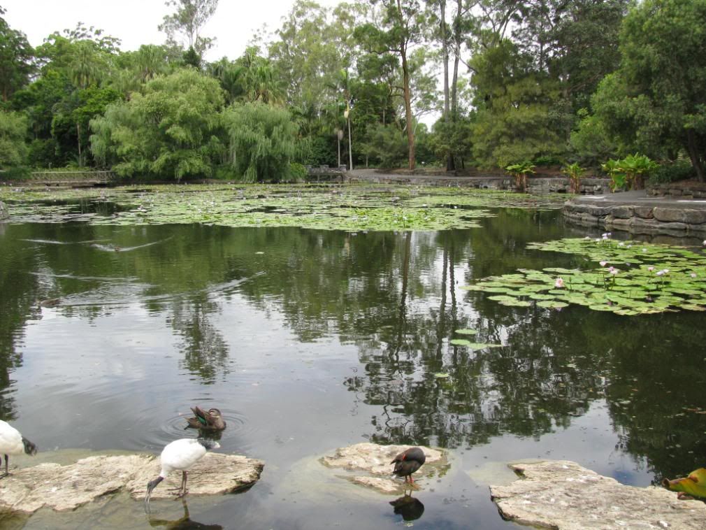 lagoon