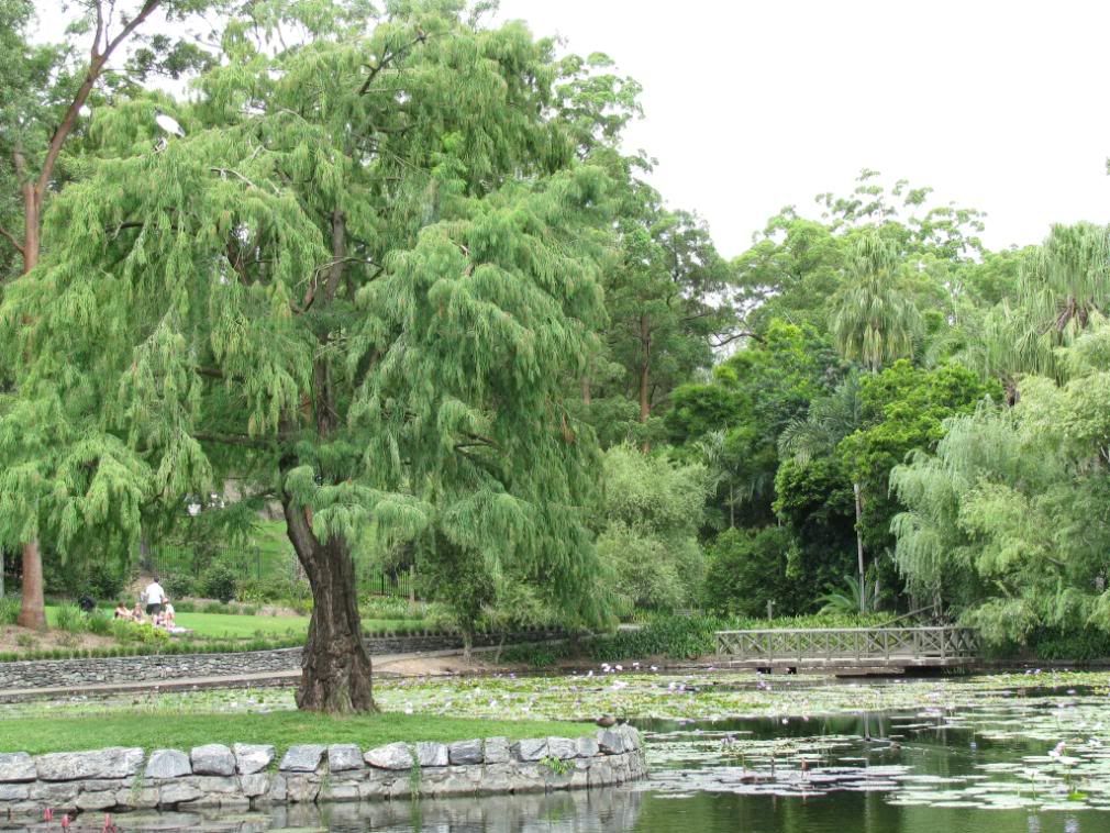 lagoon