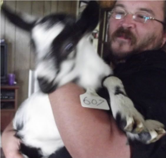 Terrible goat pictures - Goats