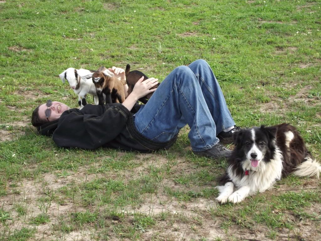 Kid Pic Thread! - Goats