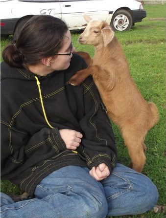 Kid Pic Thread! - Goats