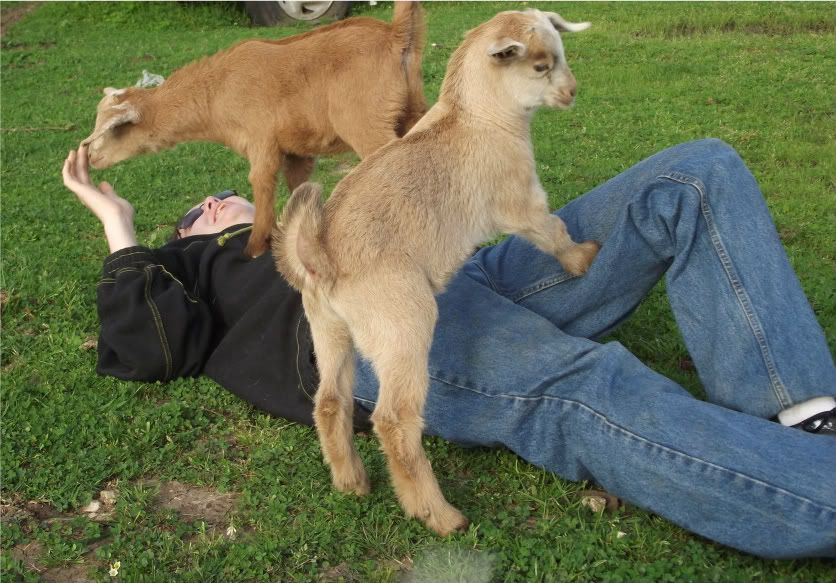 Kid Pic Thread! - Goats