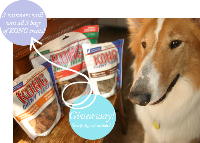photo KONGtreatsgiveaway.png