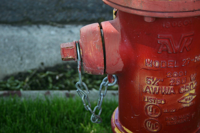  photo firehydrantwalkin.png