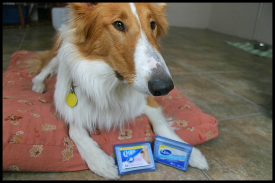 travel size q-tips