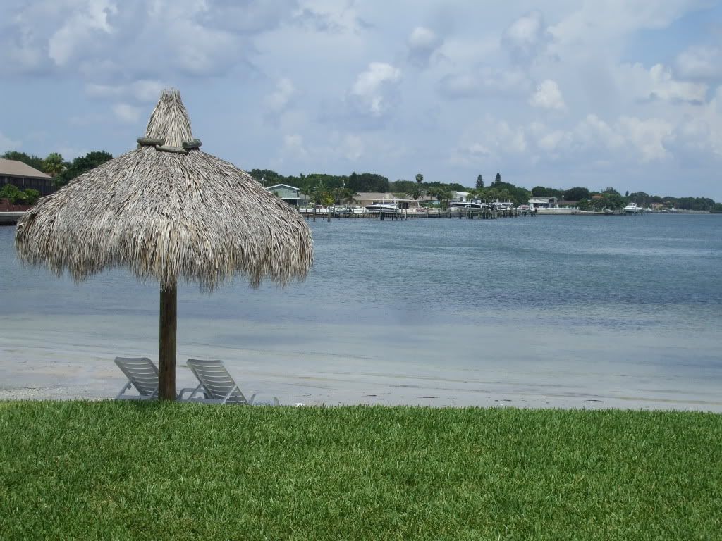 Pictures of Tampa Bay area (Holiday, Campbell: cell phone, millionaire ... Pictures of Tampa Bay area (Holiday, Campbell: cell phone, millionaire ...