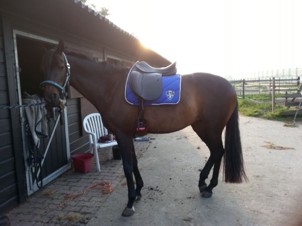 Afbeelding