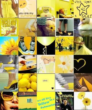 yellow Pictures, Images and Photos