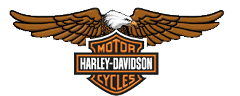 MyCoolEspacio.com Comments: Harley Davidson