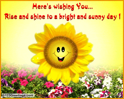 1012-016-25-1042.gif