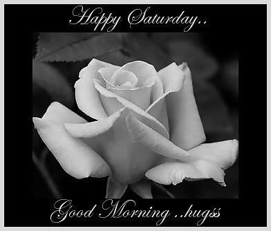 Happy Saturday Black White Rose Pictures, Images and Photos