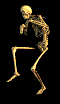 skeleton.gif skeleton image by zi_foe
