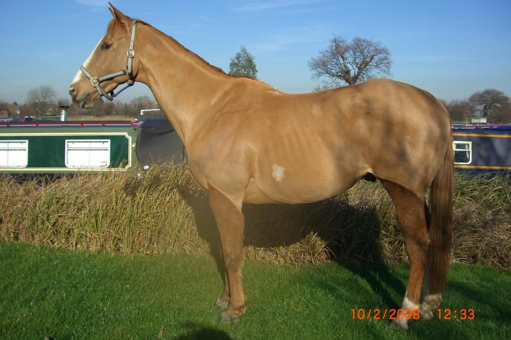 Sloping shoulder v straight shoulder pics please!! New Rider Forum