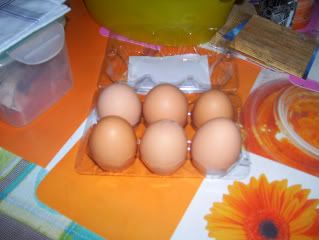 brown eggs