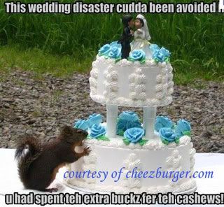wedding disaster