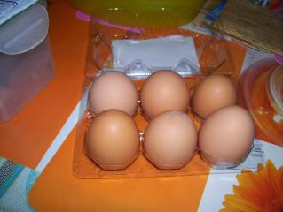 brown egg,organic egg