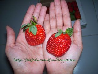 mahabaleshwar,strawberries