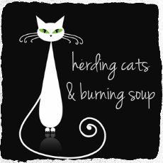 herding cats & burning soup