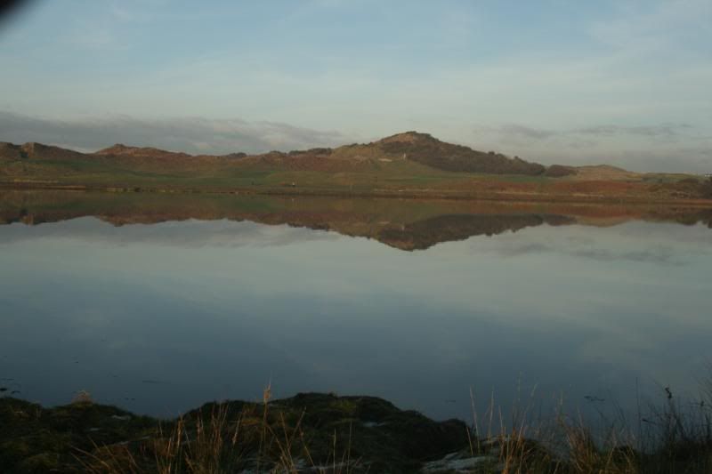 13Dec09074.jpg