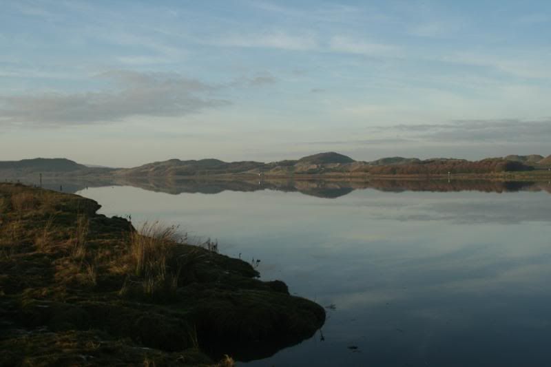 13Dec09077.jpg