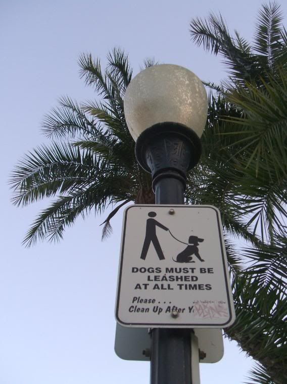Dogs must be leashed at all times Pictures, Images and Photos