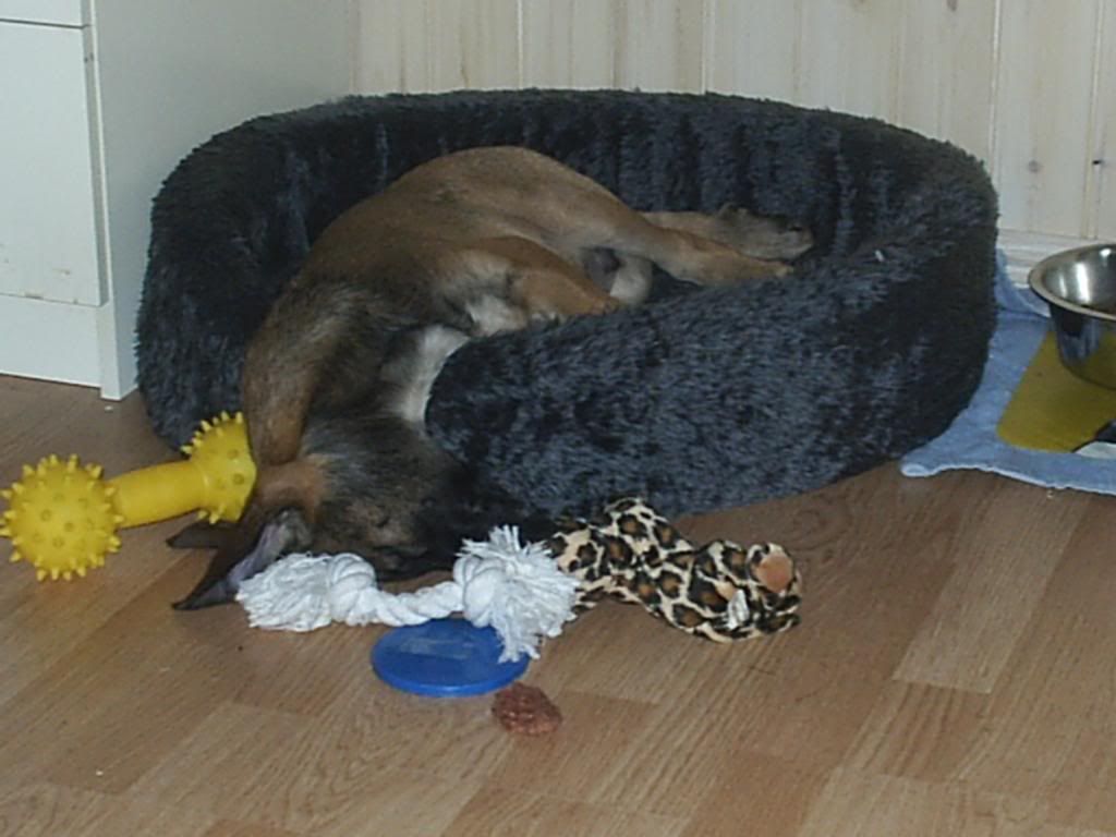Eliaz2r9nov2007137.jpg