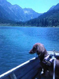 Bild_A2108.jpg