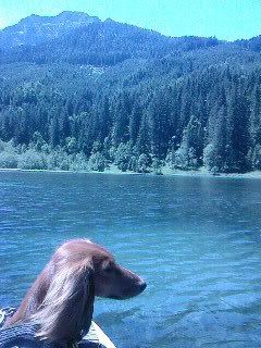 Bild_A2114.jpg