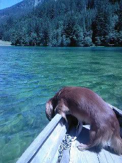 Bild_A2115.jpg