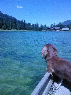 Bild_A2116.jpg
