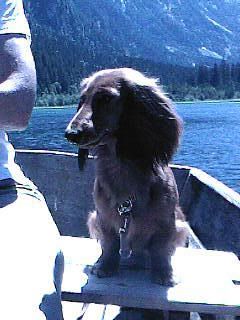 Bild_A2146.jpg