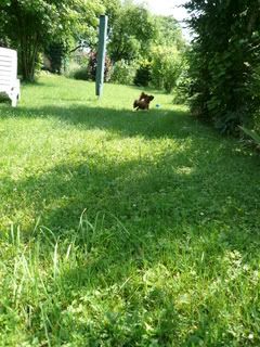 P1000060.jpg