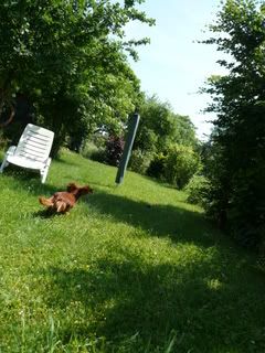 P1000076.jpg