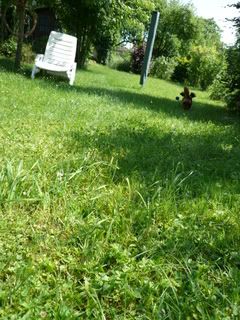 P1000083.jpg