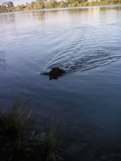 PICT0036.jpg