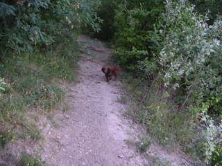 PICT0042.jpg