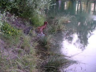 PICT0043.jpg
