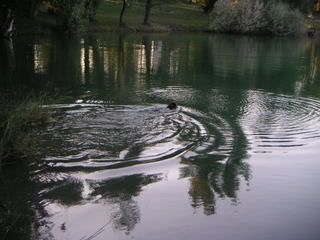 PICT0044.jpg