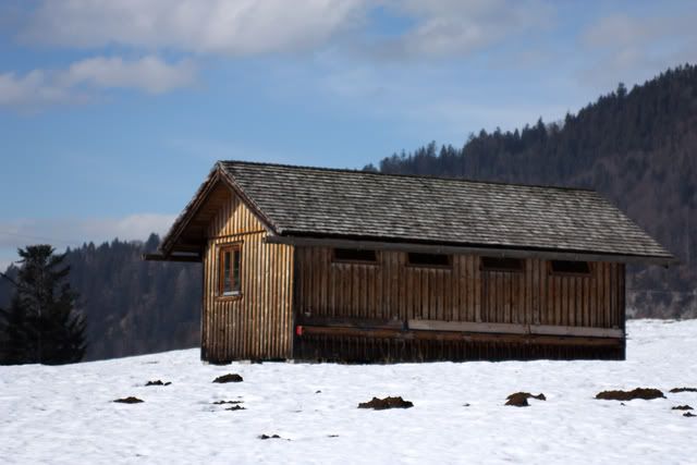 daphschnee6.jpg